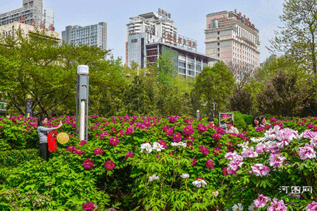 牡丹广场,不想说再见!