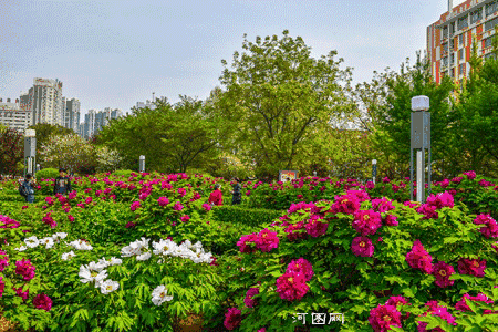 牡丹广场,不想说再见!