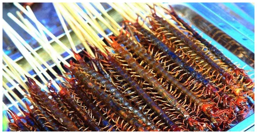 炸蜈蚣的做法和炸蜈蚣的营养价值