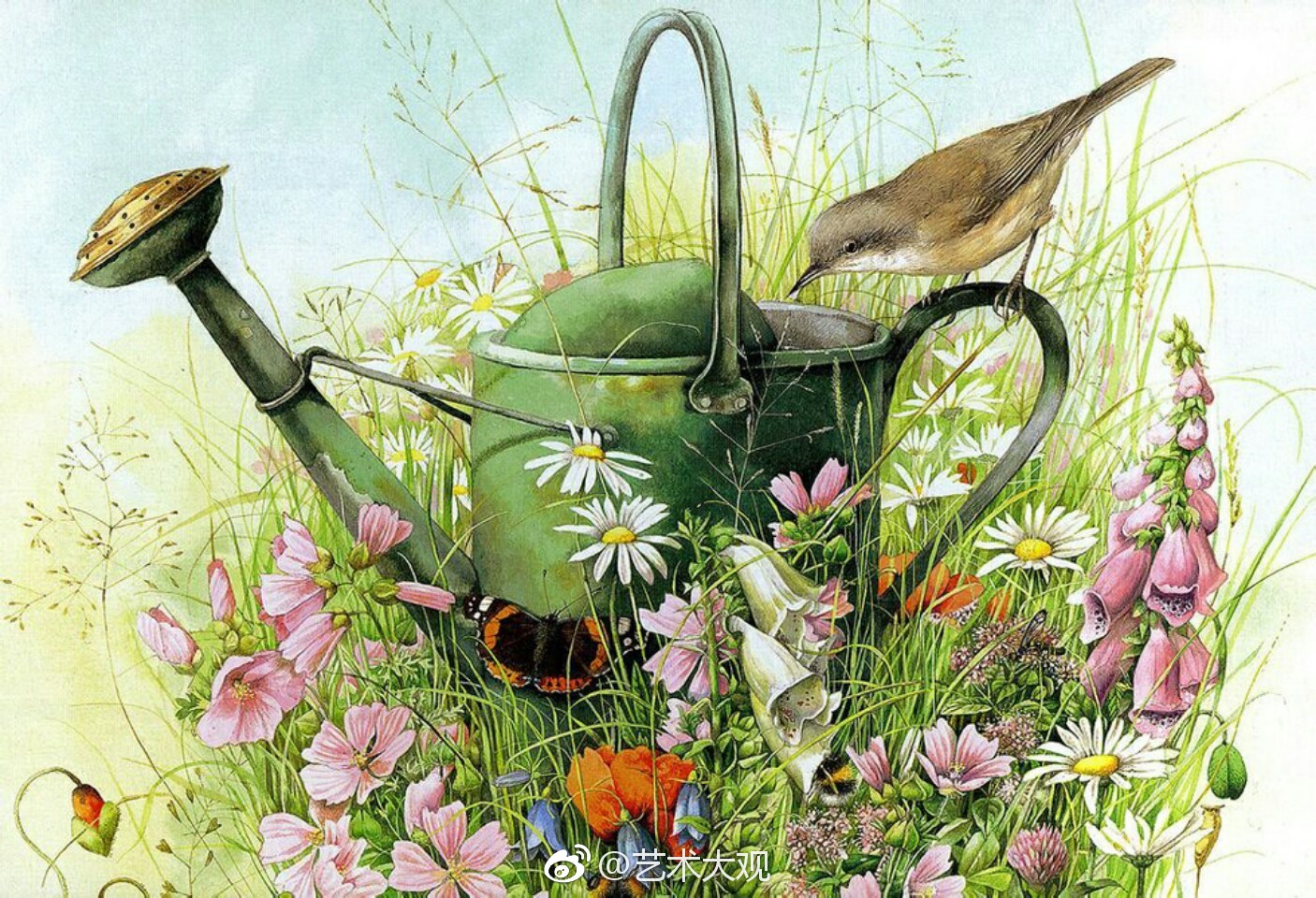 自然花鸟水彩手绘 | 荷兰女画家marjolein bastin插画欣赏