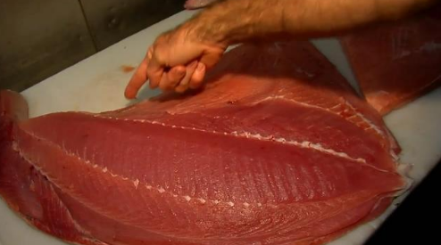 这条50斤的"月亮鱼"可真肥,切出来的肉比金枪鱼好,嫩得像豆腐