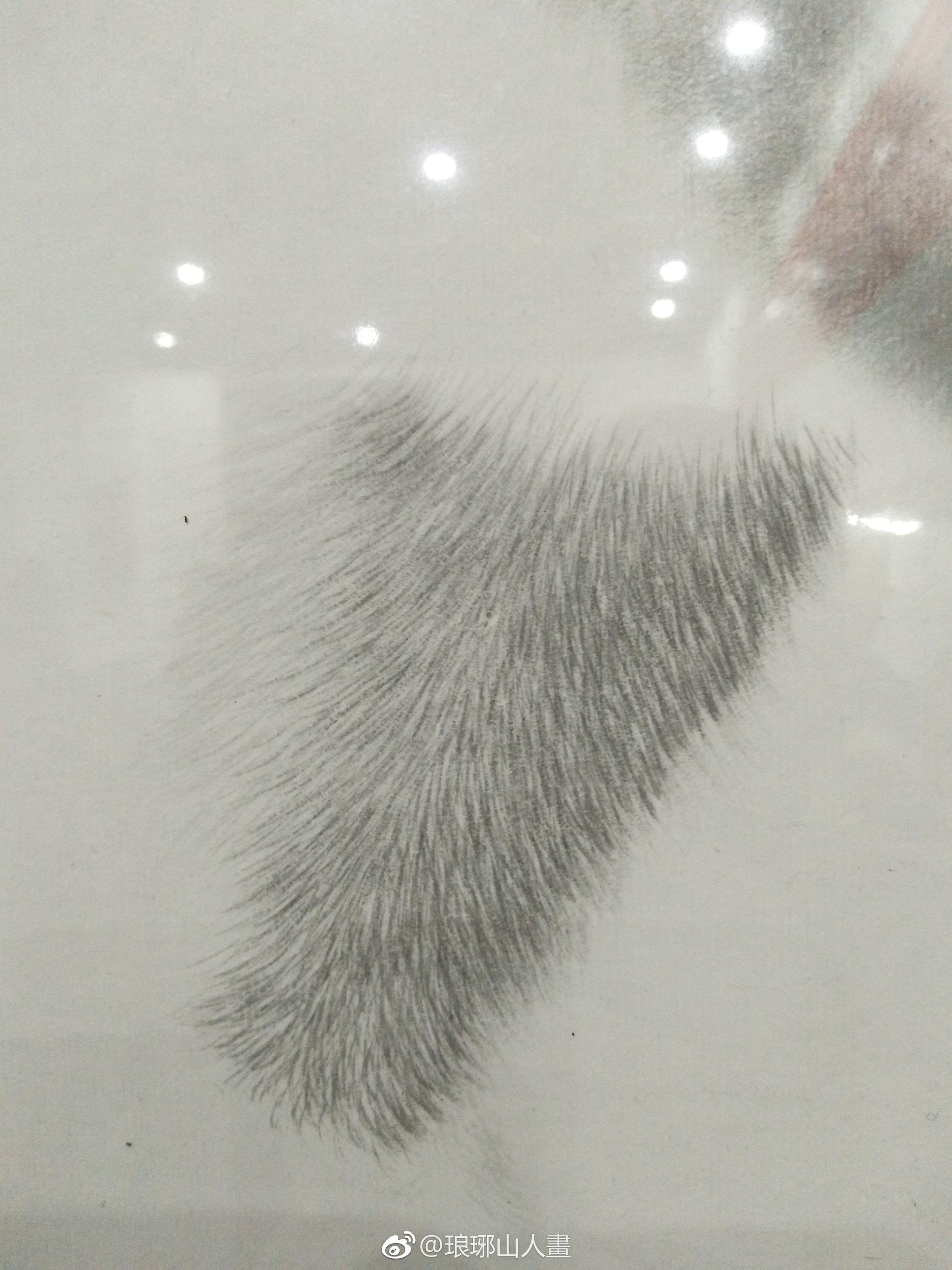 王申勇老师的动物局部丝毛示范