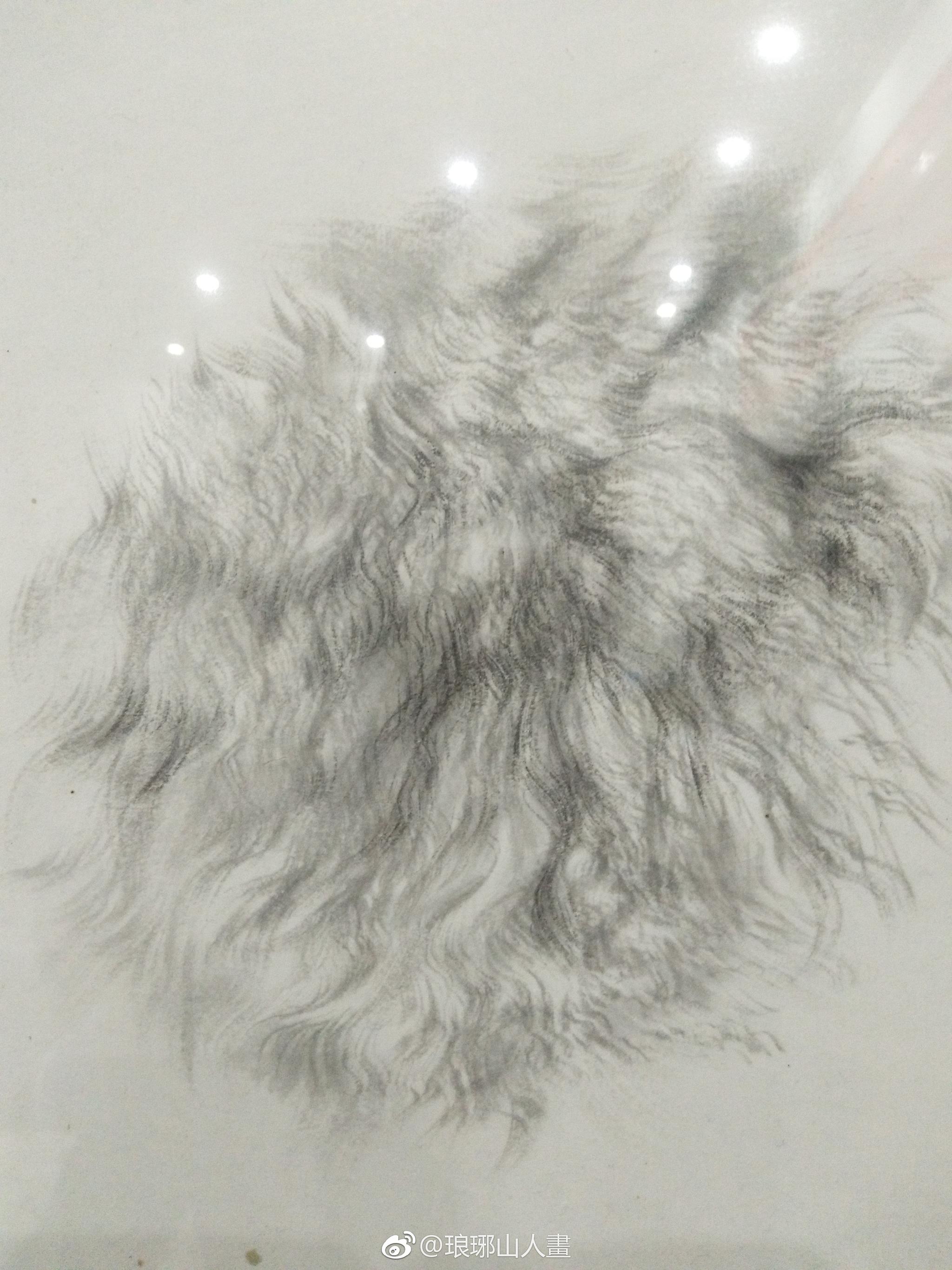 王申勇老师的动物局部丝毛示范 67王申勇老师的动物