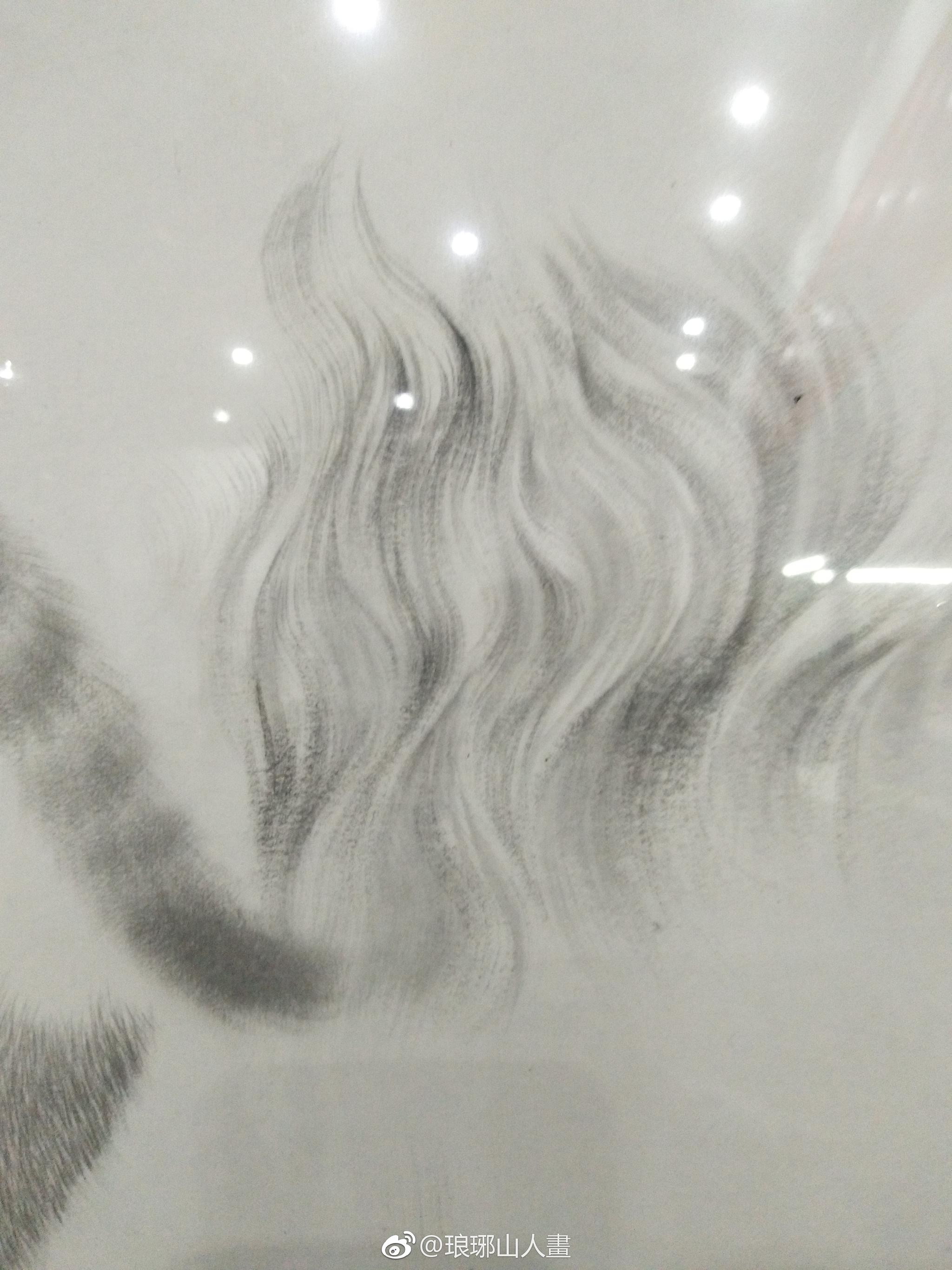 王申勇老师的动物局部丝毛示范