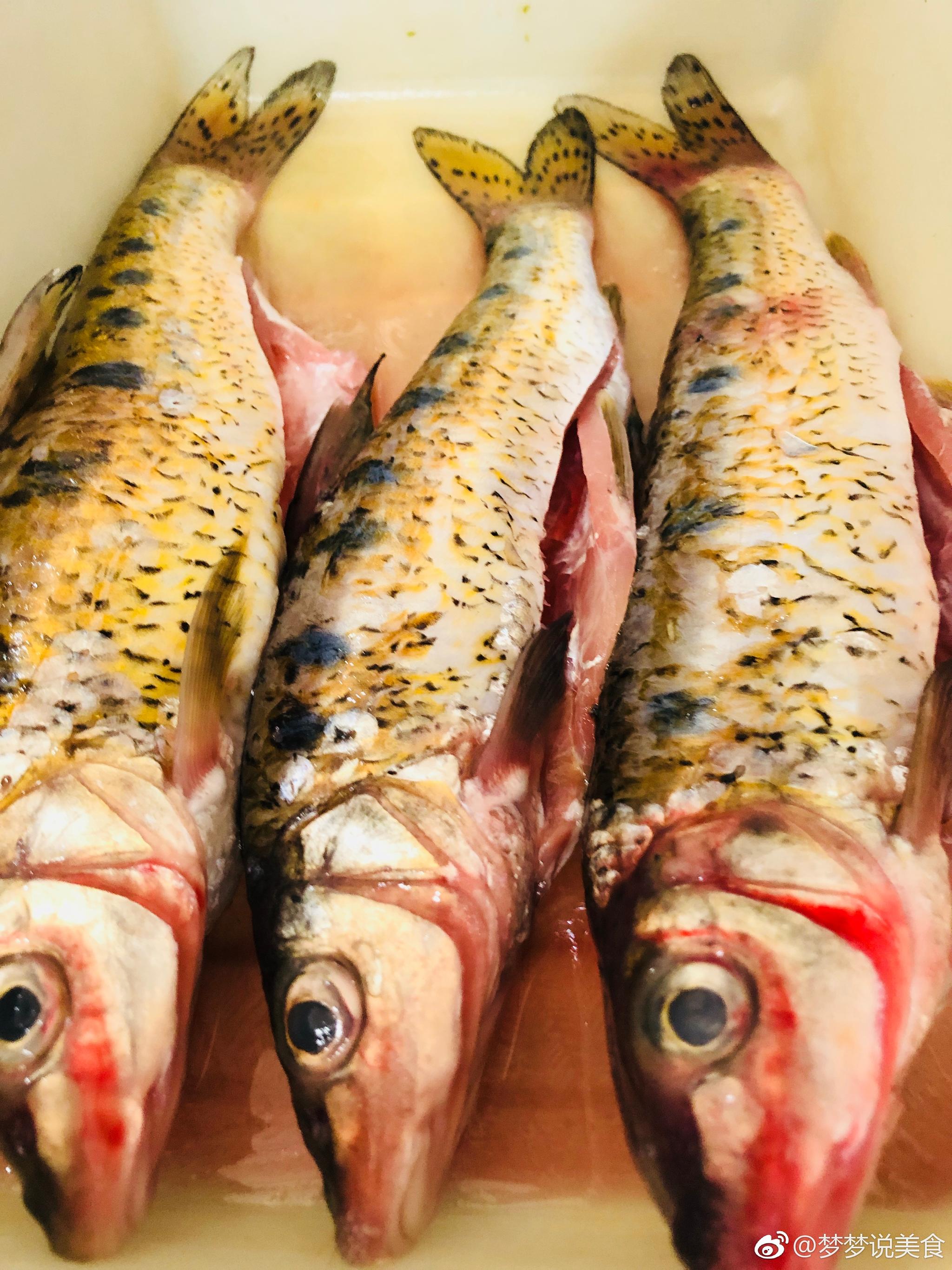 吃在江城篇——,博主逛吃到大吉林市来啦,恰逢开江鱼时节,此时的鱼最