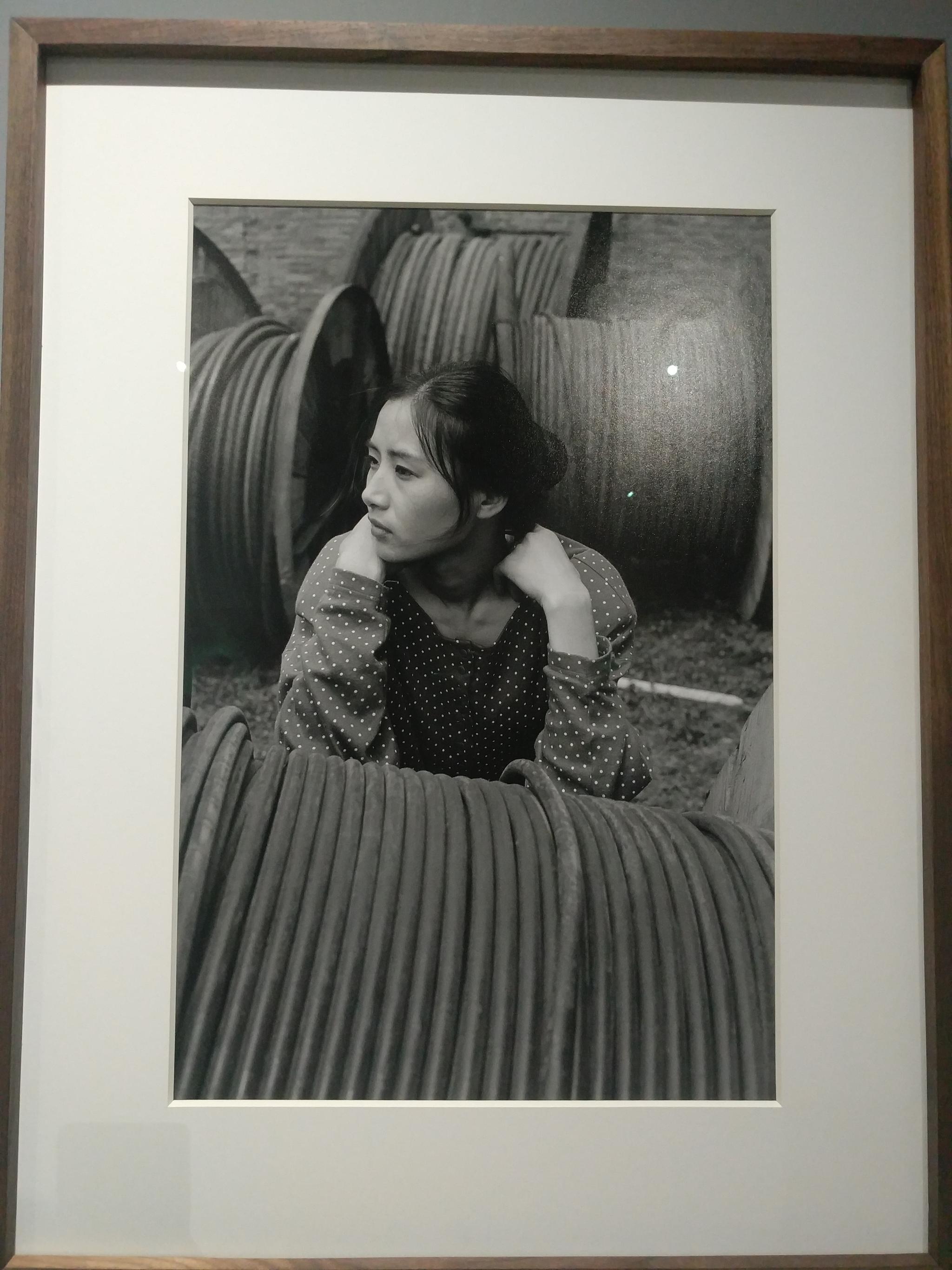 28年来,关于易知难的种种除了一张照片外一直是个迷