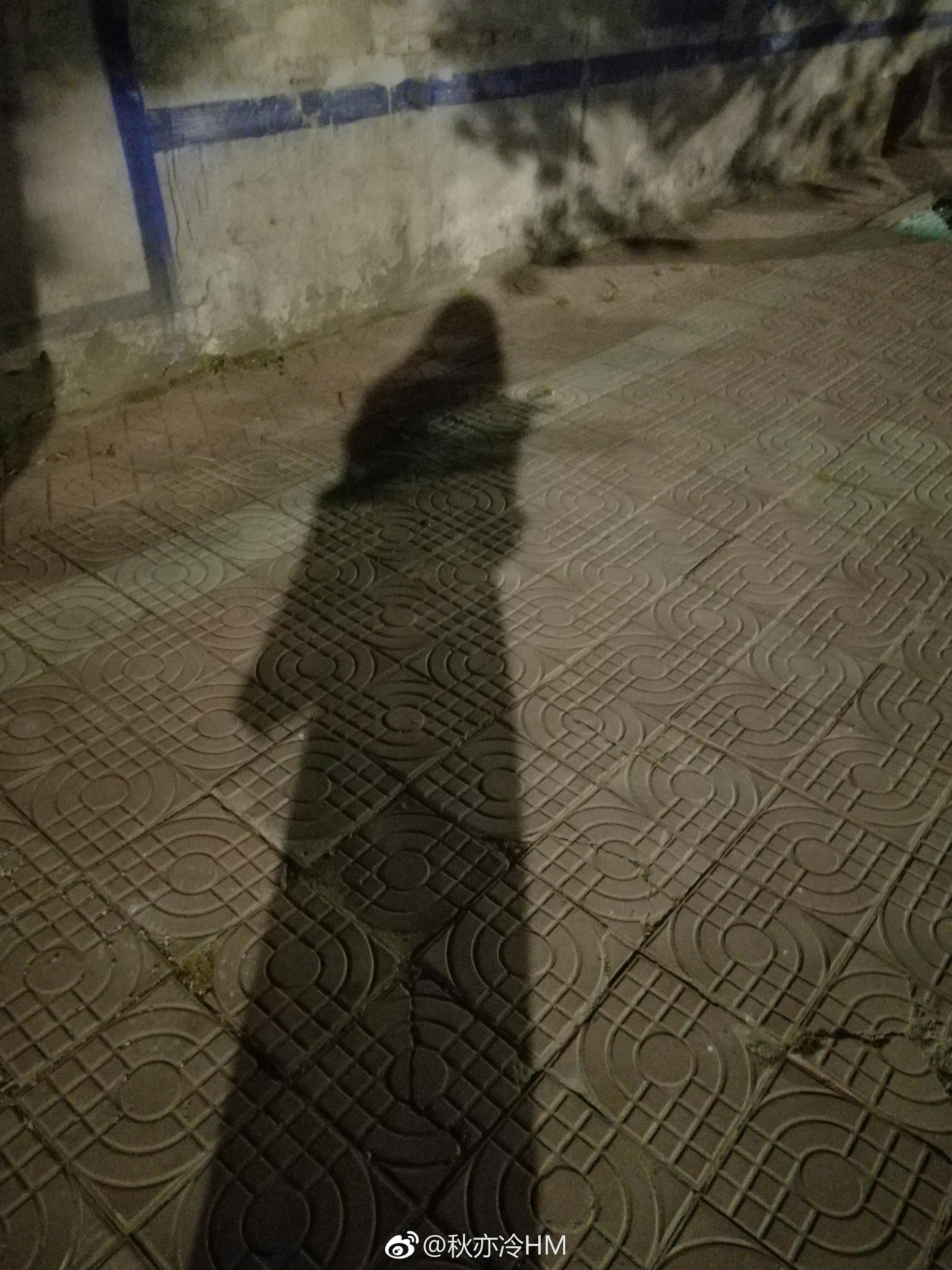 一个人走夜路也要给自己比v有酒有肉的快意人生不存在阴霾