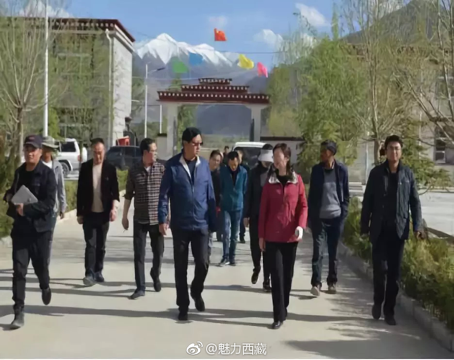 拉萨市委副书记,秘书长,组织部部长庄红翔一行莅临达孜检查指导村级