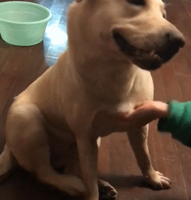 389_407gif 动态图 动图