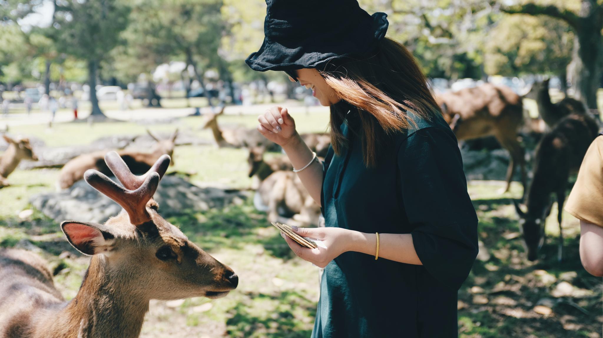 奈良…:富士x100f