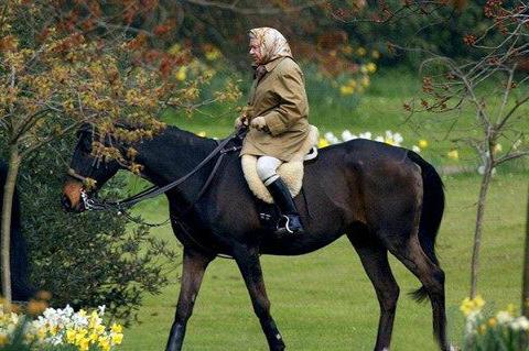 监狱哪些行动好做