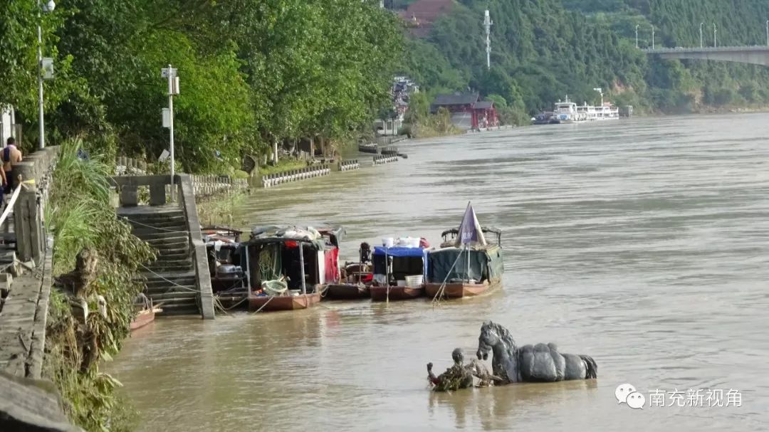 其状看起来甚是狼狈,在钟情门处见到的洪水虽比前几日有所退散,但还是