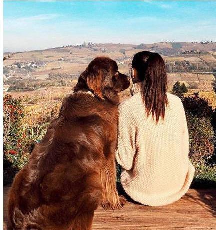 当娇小的软妹子遇上威风凛凛的大汪……|纽芬兰犬|汪星人|麻麻_新浪网