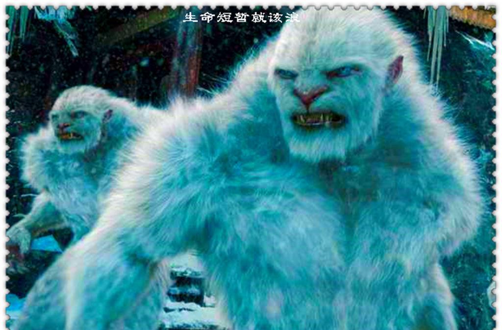 野人|雪人|猿猴_新浪新闻