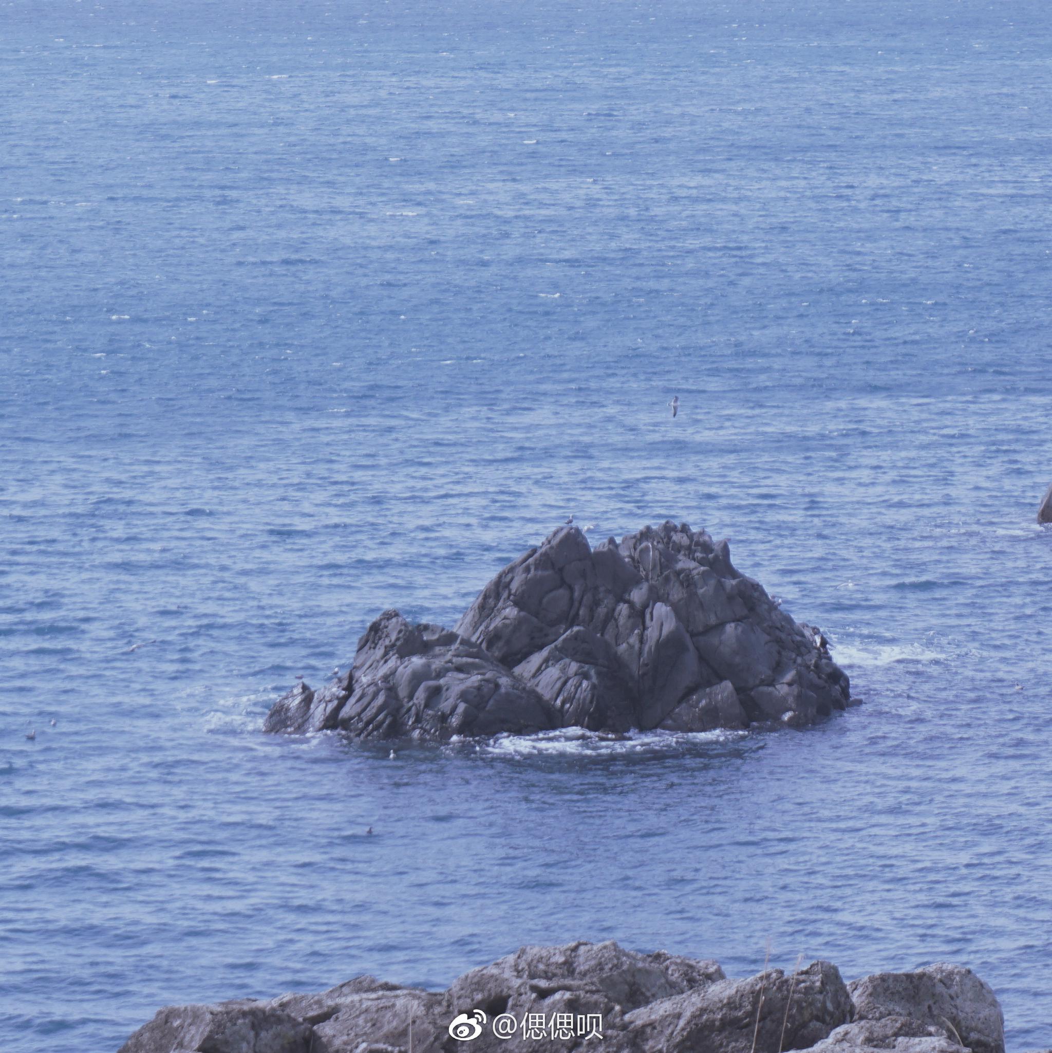 我可能真的对大海上瘾可能要每年跑到海边去才能医治的那种不然就会