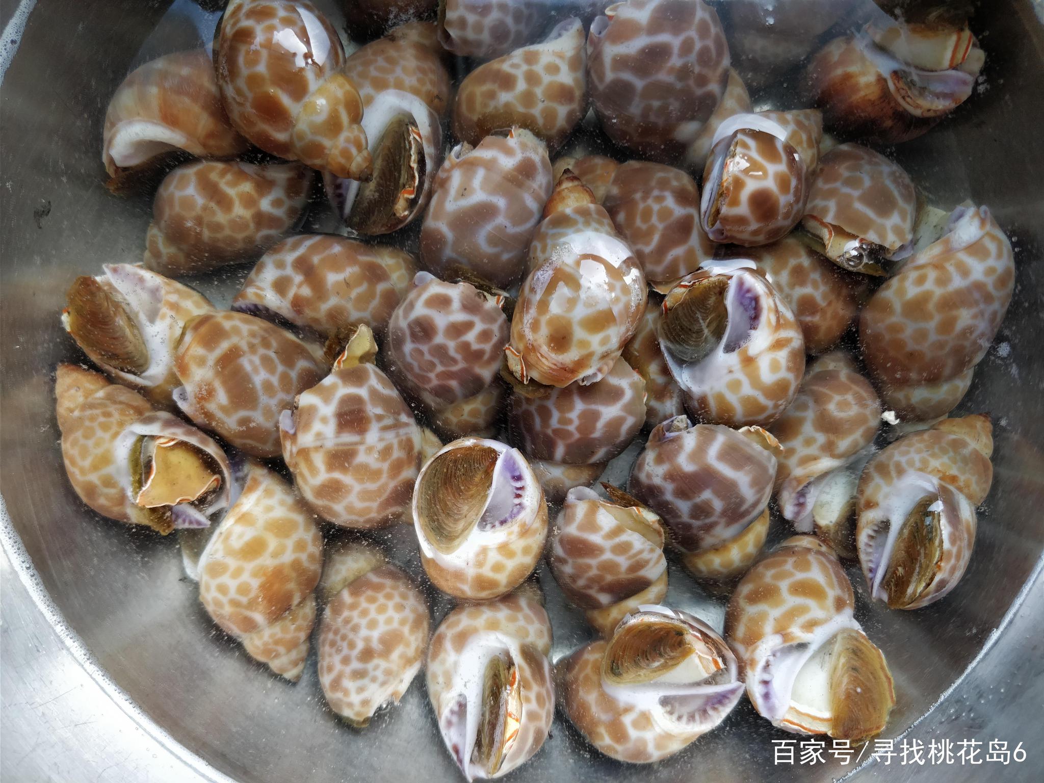 越南风味小吃,香辣下酒菜,用中式方法这么炒,简单又好吃|越南|花螺