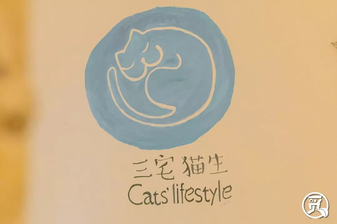 福田「土豪金」猫咖,48元吸一天!