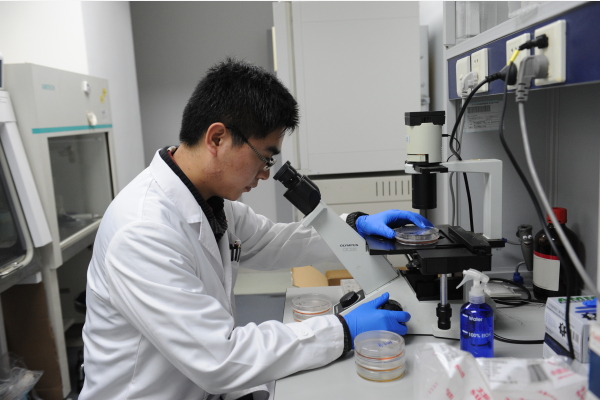 ai闯出新赛道计算机加速新药研发跨界人才难觅