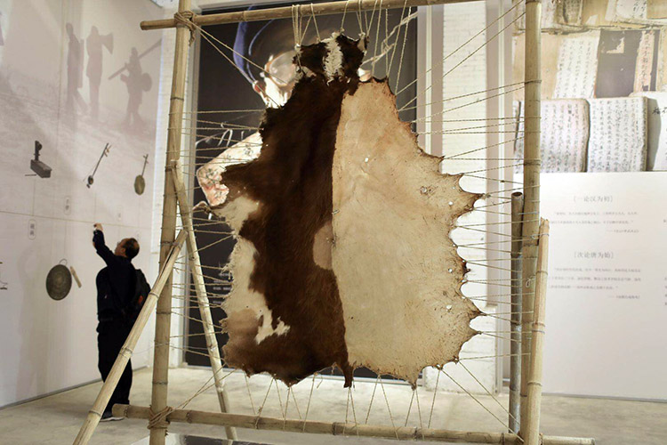 现场展示皮影制作原材料——整张牛皮.