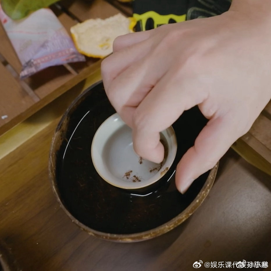 陈赫问五哈下次还想让他吃什么|哈哈哈哈哈(真人秀)|陈赫吃播|五哈综艺|嘉宾互动|奇葩美食_手机新浪网