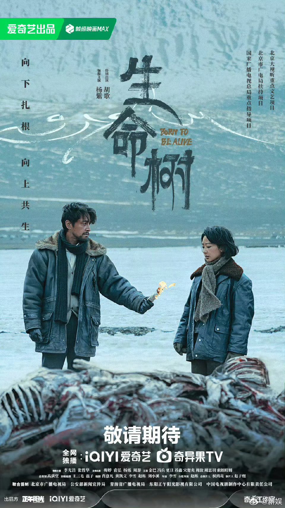 杨紫胡歌新剧《生命树》1月27日北京办主创发布会
