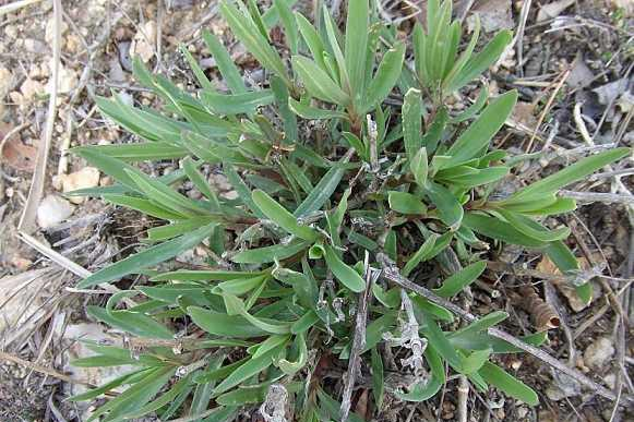 水果锌排行_秋季水果营养“排行榜”