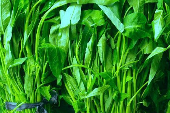 空心菜有4个品种,只有它是所有通菜中的“爱马仕”,有钱也难买|空心菜|爱马仕|口感_新浪新闻