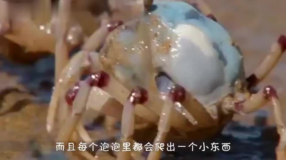 晒太阳的时候起鸡皮疙瘩(为什么晒了太阳皮肤会像鸡皮疙瘩一样)