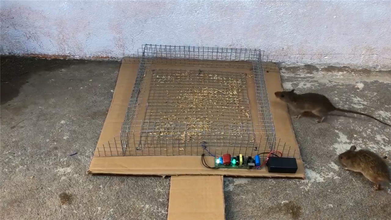 电蚊拍改造成的捕鼠器,老鼠直接被电懵