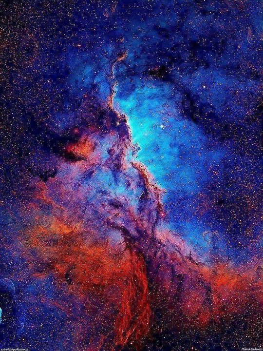 NGC6188反射星云：天坛座中的搏斗巨龙