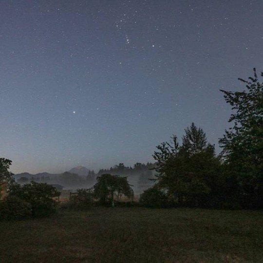 冬日星空：猎户座与天狼星的天文奇观