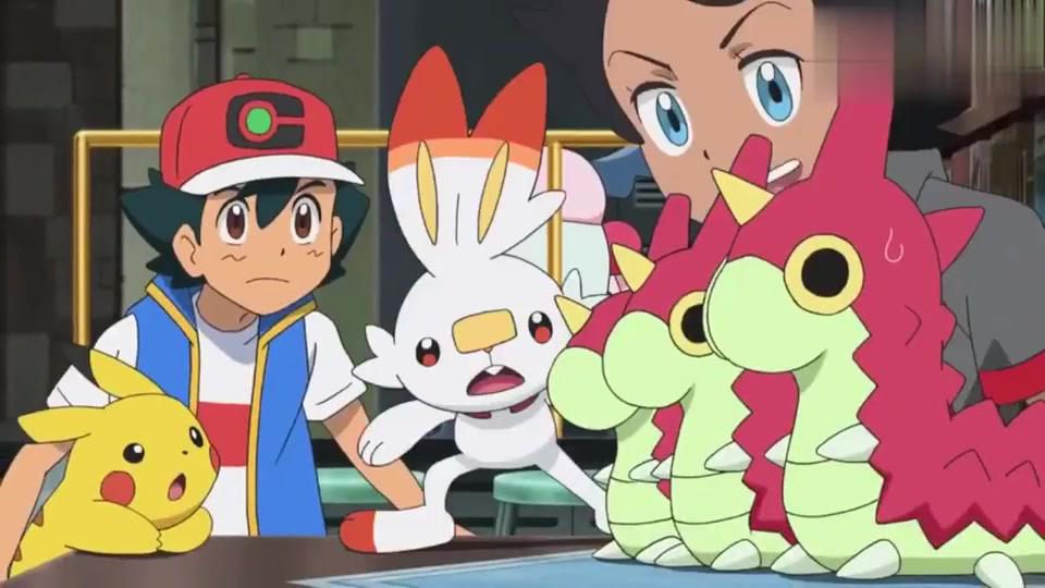 小光回归?波加曼和小智的神奥之旅