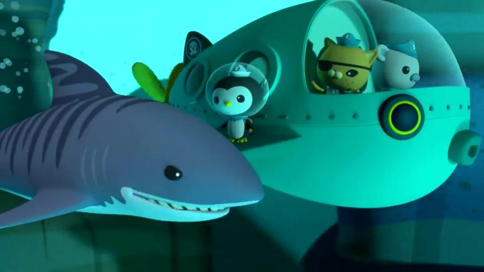 海底小纵队:大家开始救虎鲨了,他太狂啥都吃,结果肚子吃坏了