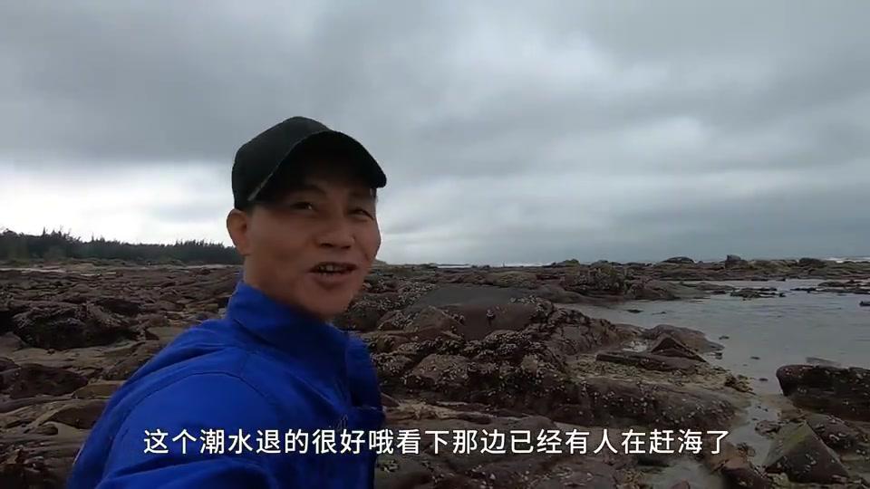 阿文赶海遇到条"巨物",疯狂甩尾差点把人拉翻,太值钱只能拼了