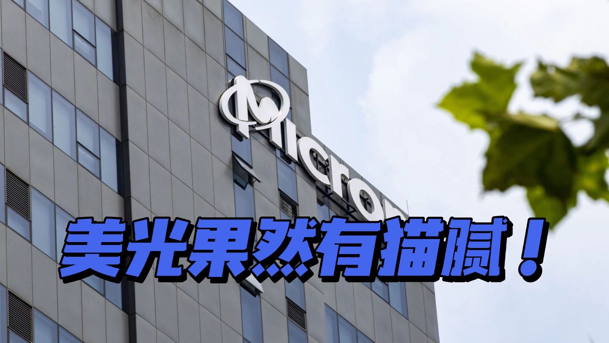 美国美光公司未通过中国安全审查,其产品可能被禁止_新浪新闻