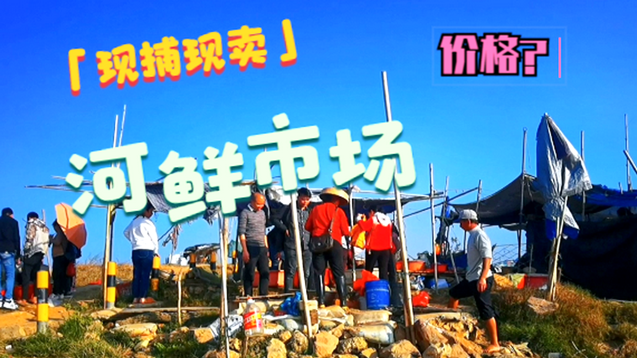 广东清远北江边的这个渡口旁,有个安静"小渔村",美如世外桃源