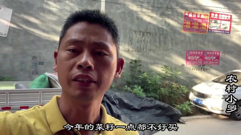 农村小罗买2000斤菜籽榨油,瓶子换上新包装,看起来真不错