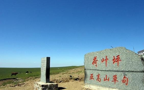 山西省忻州市五寨县荷叶坪草原,黄土高原上的绿洲_高清图集_新浪网