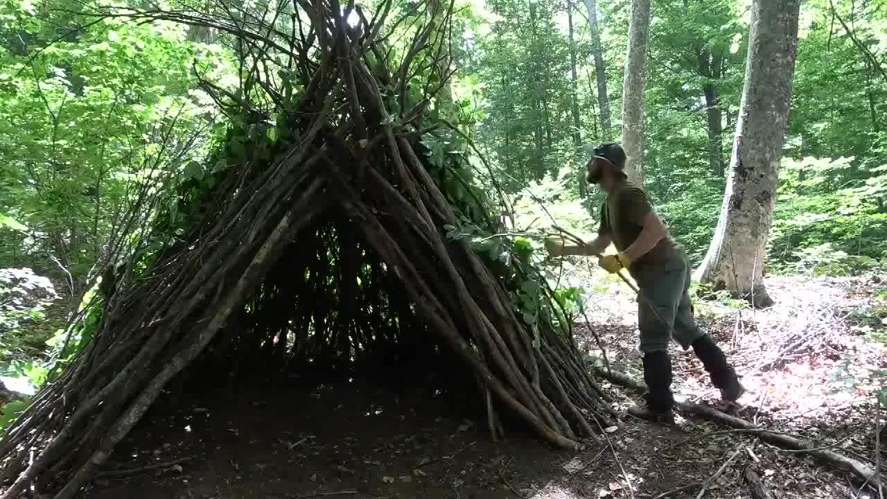 丛林就地取材搭建庇护所,又学会了一个生存技能!