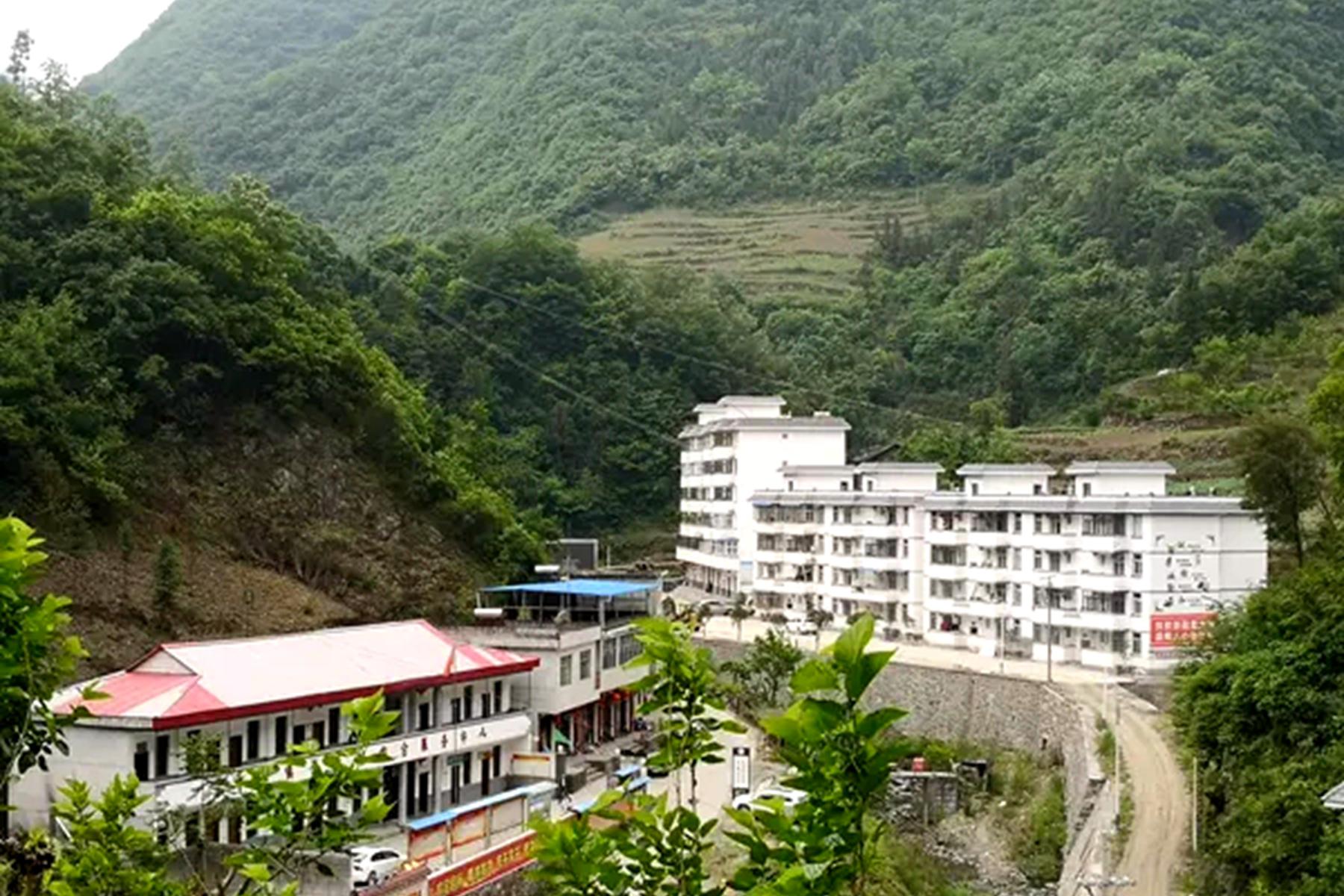 白河县:林下经济助推产业发展