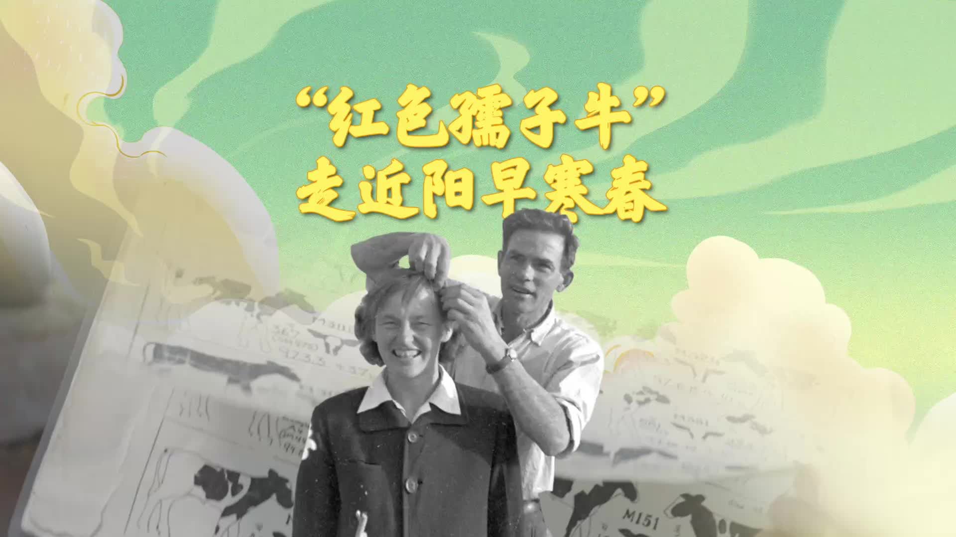 这对“洋伉俪”为信仰而来 扎根中国养牛60载丨走进阳早寒春故居|阳早寒春|养牛机械化|国士无双咫尺间_新浪新闻