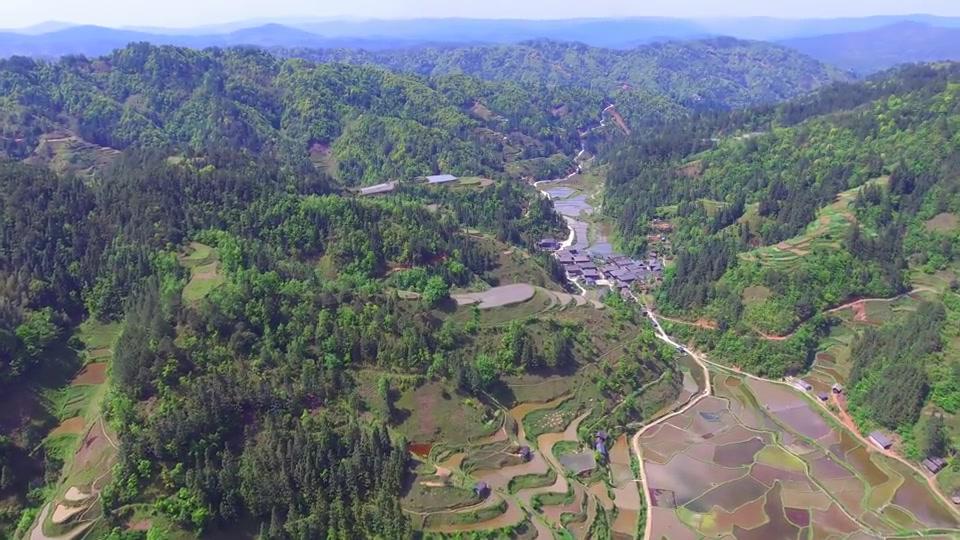 这个小山村,四面环山,带有四条大龙脉,真是一处极佳的人间宝地