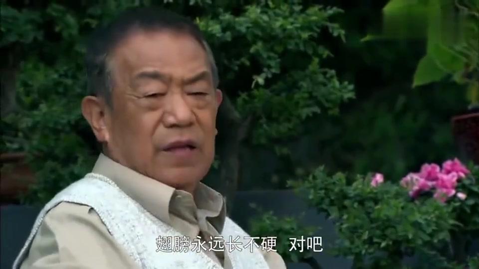 利刃出鞘:爷爷盼何晨光回来给他敬军礼,怎料一抬头孙子真回来了