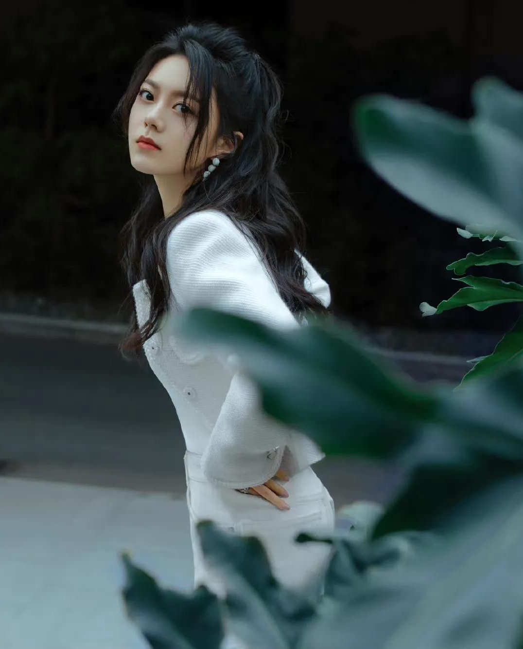 seo内容和外链的区别