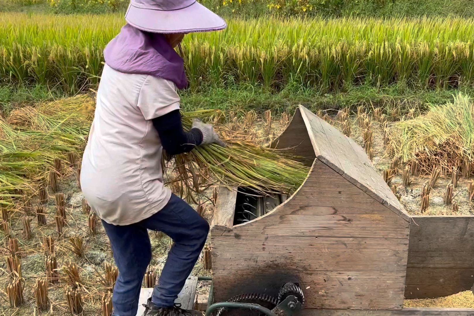 春耕进行时,农村常用的8种农具,能认全的才是真正干过农活的|农具|农村|稻谷_新浪新闻