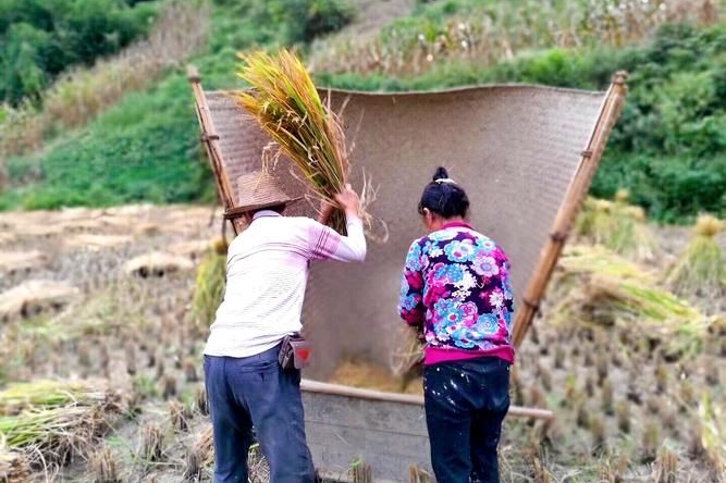 湖南农村9种老物件,种田的家家必备,还有几种在用,满满的回忆|湖南省|粮食|稻谷|工具|新化_新浪新闻