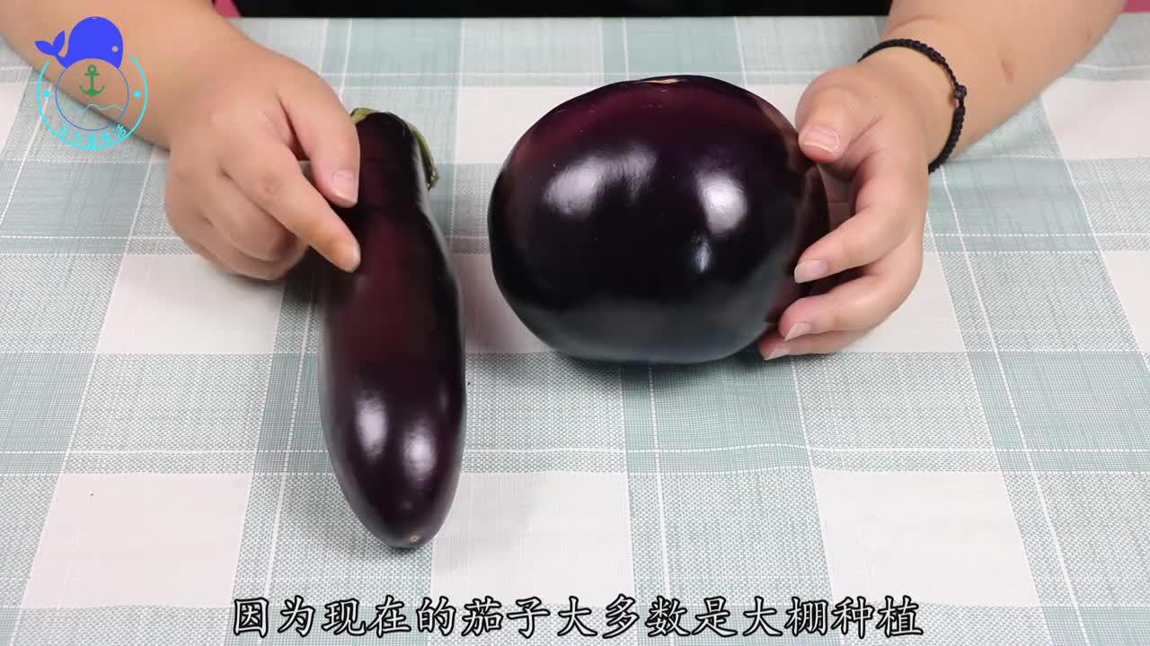 原来长茄子和圆茄子的差别这么大?尽早叮嘱家里人,以后别瞎买了