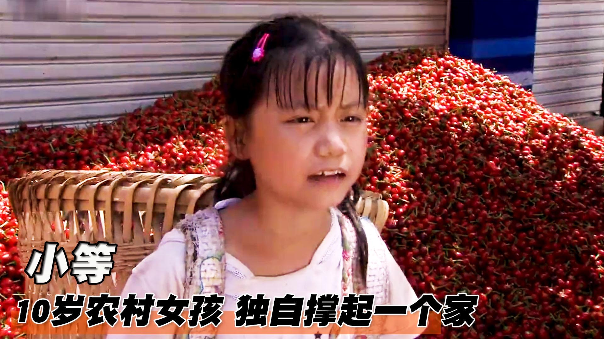 10岁农村女孩靠卖辣椒赚钱,独自养活发疯的奶奶!催泪国产片