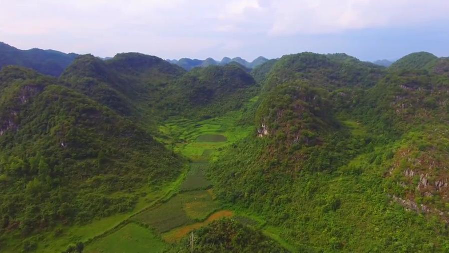 此地莲花绽放,水聚天心,能出富豪的风水宝地