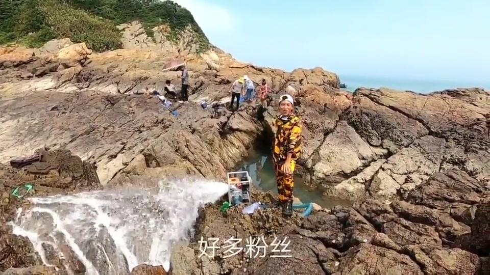 渔民兄弟赶海抽水坑,水还没抽干大货就四处乱蹿,场面直接沸腾了